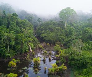 Rio San Carlos - Costa Rica