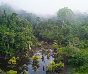 Rio San Carlos - Costa Rica