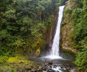 Wasserfall Aquiares - Costa Rica